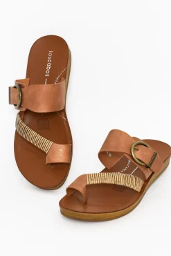 Slides<Los Cabos Bria Bronze Slide