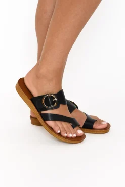 Slides<Los Cabos Dotsie Black Resin Buckle Slide