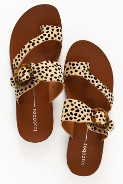 Slides<Los Cabos Dotsie Cheetah Resin Buckle Slide