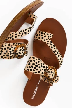 Slides<Los Cabos Dotsie Cheetah Resin Buckle Slide