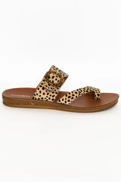 Slides<Los Cabos Dotsie Cheetah Resin Buckle Slide