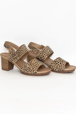 Heeled Sandals<Laguna Quays Horizon Cheetah Buckle Heel