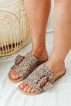 Slides<Laguna Quays Kivari Cheetah Buckle Slide