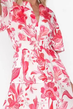 Cotton Dresses<Liberty Rose Marinda Pink Floral Cotton V Neck Dress