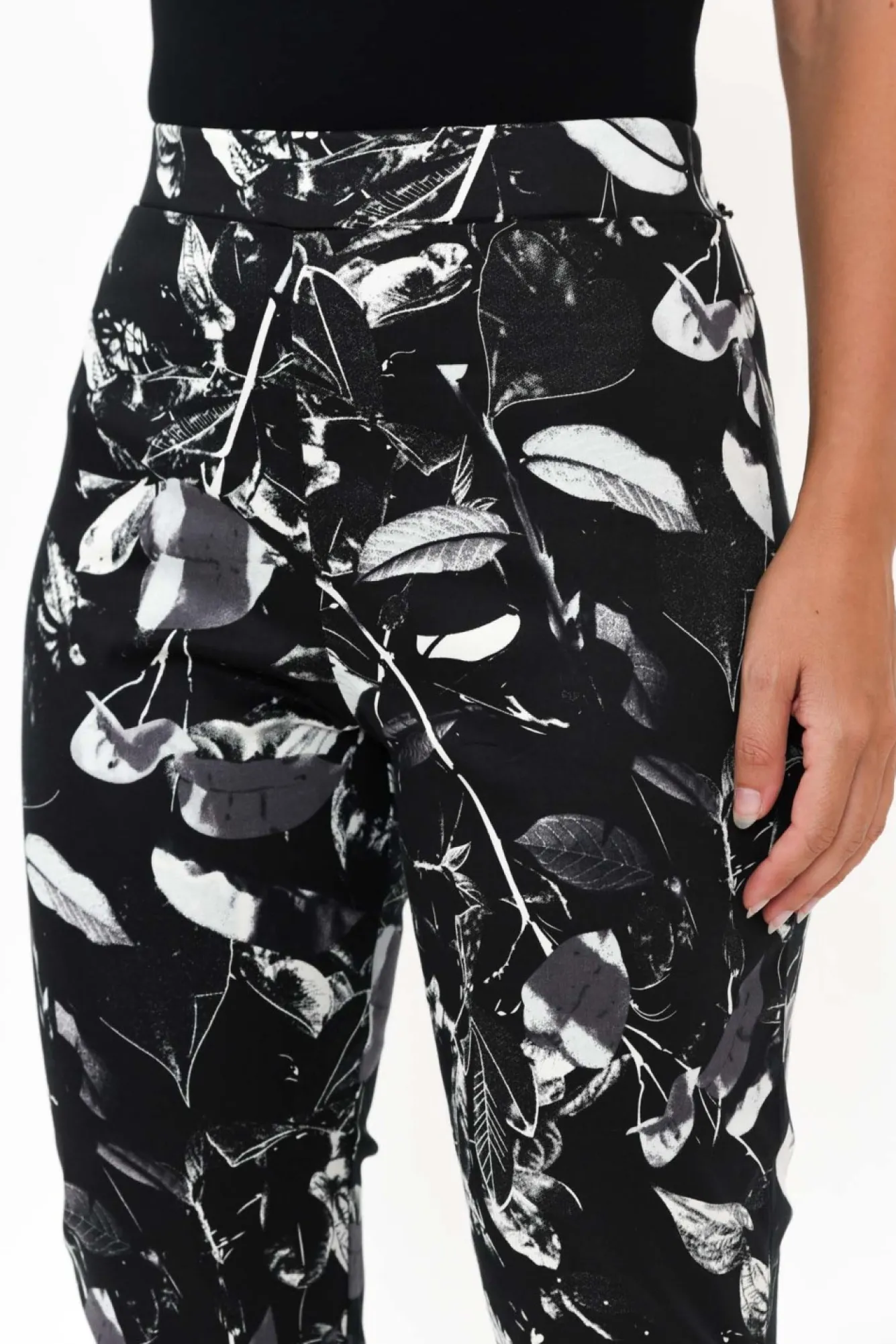 Pants<Whispers Milo Black Leaf Stretch Pant